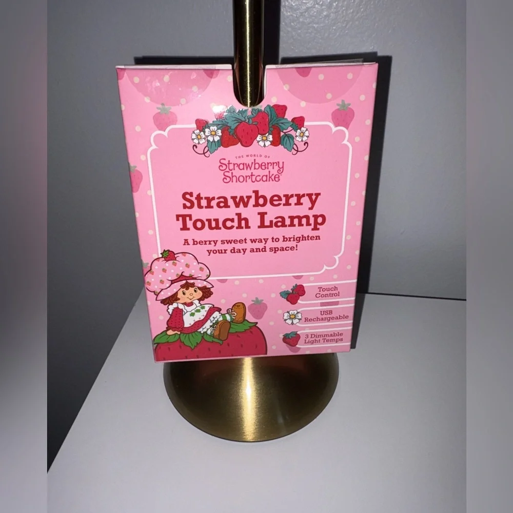 Strawberry Shortcake Touch Lamp USB Rechargeable Glass Dimmable Light VIRAL NEW